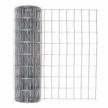 Best Price Galvanized Welded Wire Mesh Roll For Fence Panel
